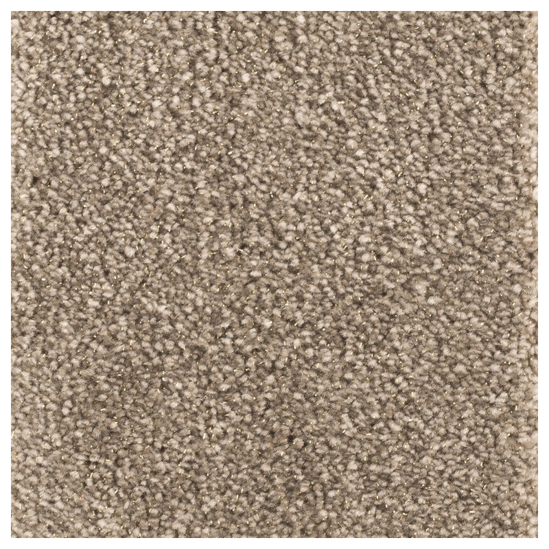 Tapis SCALP 170x240